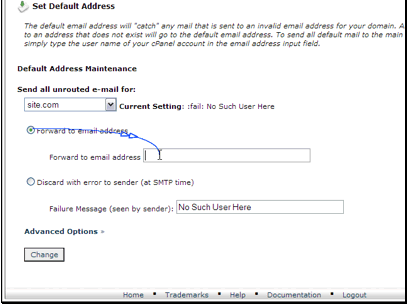 Then enter the email address to deliver the email to.