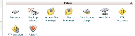 Let's begin by installing a new theme. On your cPanel home page click the File Manager button.