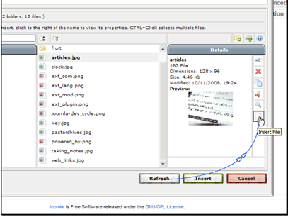 There are several options for images. Let's click the Insert File button.