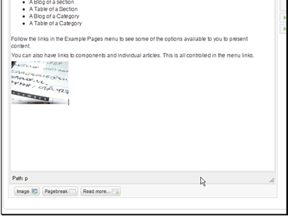 The image has now been inserted into our article.