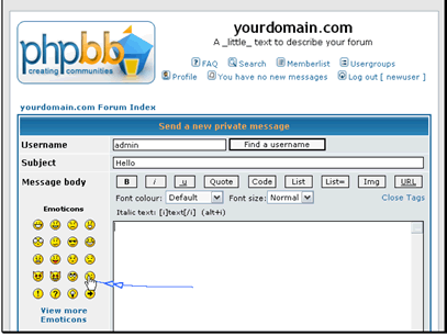 You can insert smilies and use the editor just like you would with any post